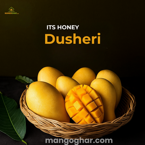 Dusheri Mango Export Quality