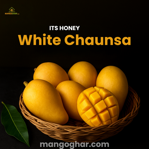 White Chaunsa Mango Export Quality